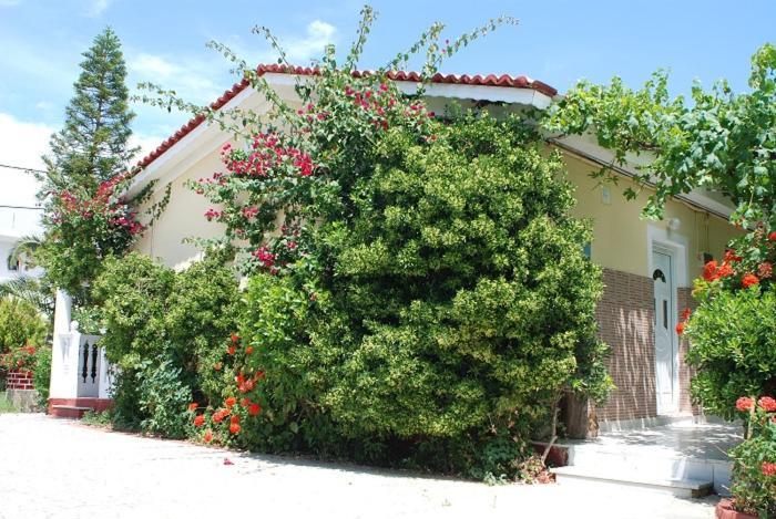 Manao Summer House Tsilivi  Luaran gambar